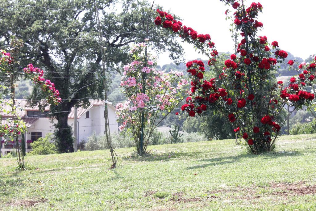 Agriturismo Nociquerceto Villa Tarano Luaran gambar