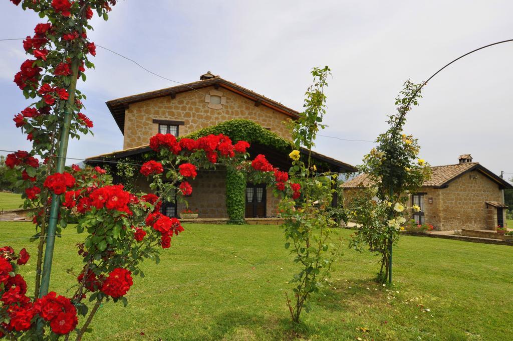 Agriturismo Nociquerceto Villa Tarano Luaran gambar